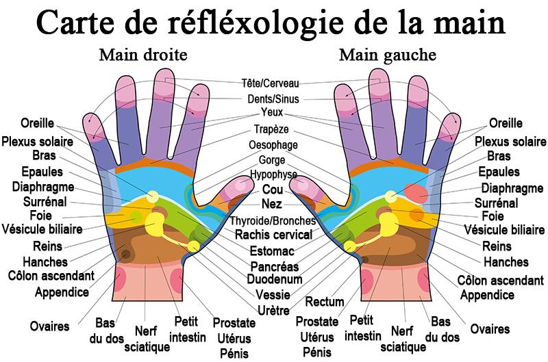 Carte main reflexologie